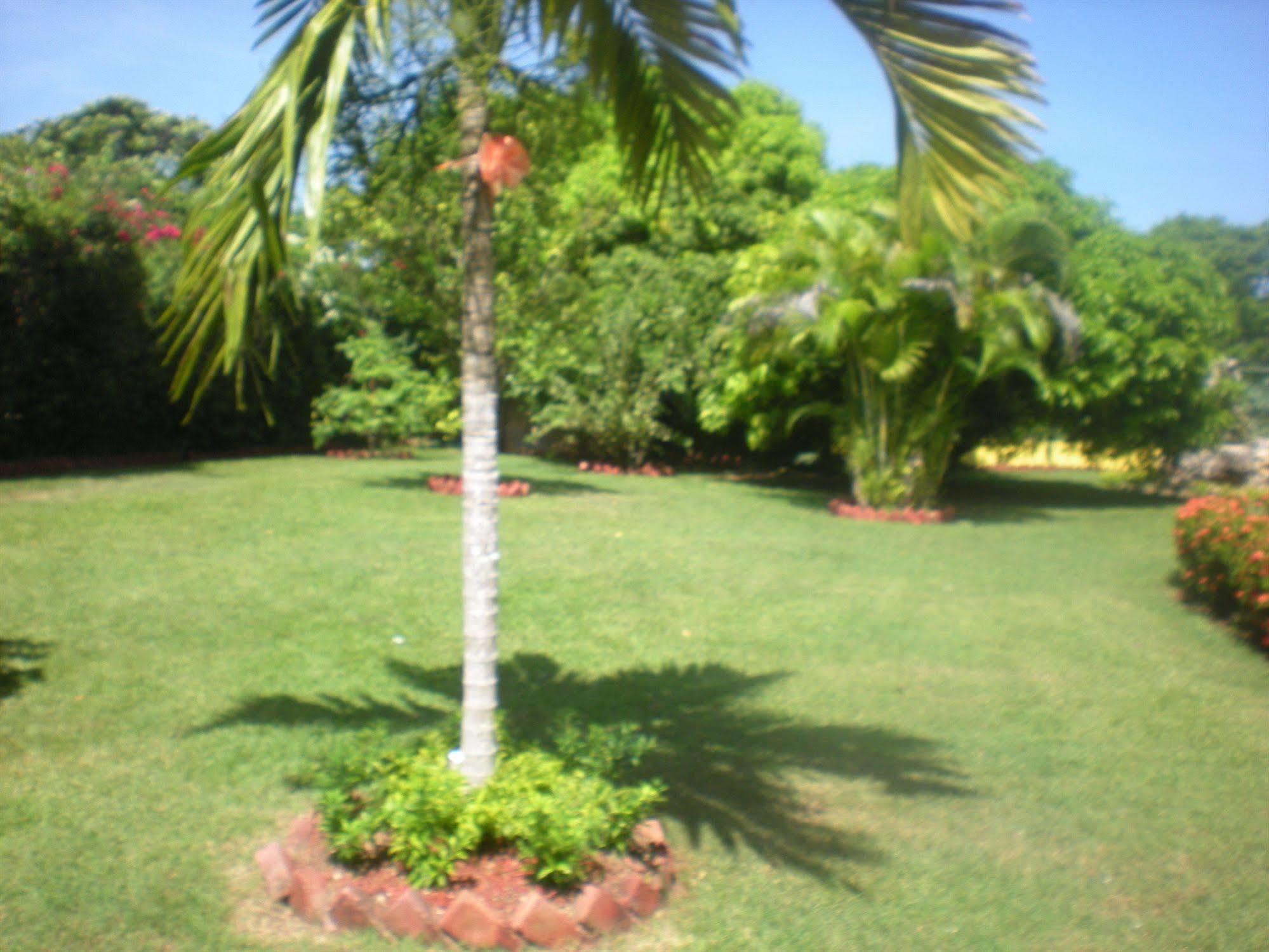 Villa Sonate รันอเวย์เบย์ ภายนอก รูปภาพ